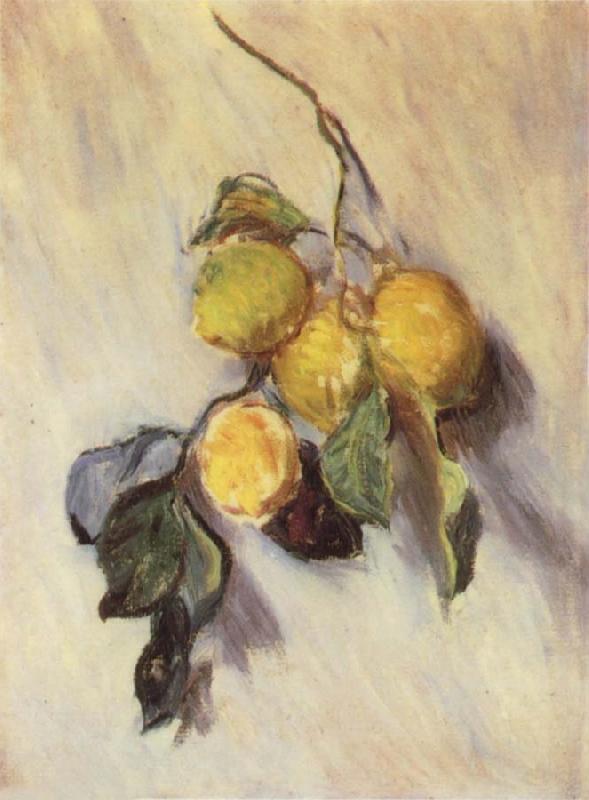 Claude Monet Branch from a Lemon Tree France oil painting art
